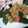 an0v0ko's cooksnap of when they made 切れない包丁でも作れる鯵のタタキ(なめろ).