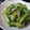 patisier's cooksnap of when they made ほうれん草とツナのワサマヨ和え.