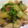 hayatama's cooksnap of when they made 新じゃがとみつばのバター醤油炒め.