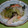 Jock's cooksnap of when they made キャベツとわかめのからし和え.