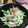 ＴＯＭＯＷＡＴ's cooksnap of when they made 水菜の和風ツナクリームサラダ.