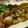 loveloco's cooksnap of when they made 里芋の豚肉巻きローズマリーソテー.
