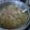 イシス女神's cooksnap of when they made 簡単！白菜のスープ.
