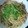 きえたん。's cooksnap of when they made あっさりおいしい！きのこの和風パスタ.