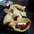 mizukane's cooksnap of when they made ほっけのすり身☆ワンタン包み.