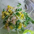 さやけんしき's cooksnap of when they made 貝割れ大根とカニカマのわさマヨサラダ.