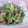 えみんちゅー☆'s cooksnap of when they made お酒すすむ☆ザーサイとササミの和え物☆.