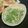 もんきち。's cooksnap of when they made 水菜とツナの簡単サラダ....♡.