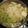 Drako's cooksnap of when they made 豚肉やわらかみぞれ鍋.