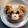 きくっちー★'s cooksnap of when they made クマちゃん＊キャラ弁.