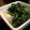 鮎めし♀'s cooksnap of when they made おかひじきのマヨポン和え.