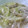 enrique's cooksnap of when they made 白菜消費！生姜風味、鶏と白菜の炒め煮.
