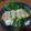 とーてむぽーるさと's cooksnap of when they made 厚焼き卵のツナ入り.