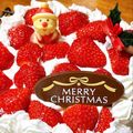 sanahey530's cooksnap of when they made クリスマス☆簡単！可愛い♡スコップケーキ.