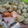 toratamada's cooksnap of when they made たまご抜き☆ふわふわいわしつみれ♪.