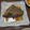 よちりん's cooksnap of when they made 小料理屋やん！すぐできる、カレイの煮付け.