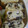 mametan429's cooksnap of when they made ねぎと塩昆布のたまご焼き.