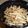 ゆずぽんの母's cooksnap of when they made ゴボウと白滝のきんぴら.