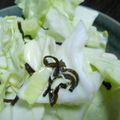 SETSUーRENT's cooksnap of when they made 簡単すぎる昆布キャベツ。.
