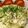 やんやんきなこ's cooksnap of when they made 春キャベツとハムのタルタルサラダ♫♪♫.