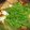 shimaru's cooksnap of when they made ちょっと和風・豆腐野菜チゲ.