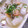 marine's cooksnap of when they made かぶとエビのとろ〜り煮.