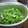 kikikko's cooksnap of when they made 茹で白菜のマヨネーズソース☆.