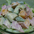 fromMay's cooksnap of when they made 和えるだけ　柿とアボカドのサラダ.