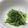 nihoi's cooksnap of when they made すぐ出来る　豆苗の炒め物.