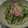 ゆずぽんの母's cooksnap of when they made もやしの中華風サラダ♪.