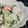 プチハイジ's cooksnap of when they made 簡単もう一品☆かまキュウ.
