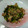 YUKINA☆ママ's cooksnap of when they made 【ご飯のおとも】大根の葉と豚肉の炒め物.
