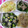 るらちゃん's cooksnap of when they made ２step!ほうれん草＆ツナの和え物.