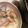 3mamakuma's cooksnap of when they made タジン鍋deあさりのワイン蒸し.