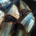 ぱきぱっきー's cooksnap of when they made 圧力鍋で♪さんま骨まで♪.