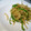 ユウタまま's cooksnap of when they made 大根の皮を活用！カレーきんぴら.