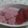 ♡aichan♡'s cooksnap of when they made 『苺の白玉・小豆生クリーム添え』.