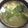 サーフブレイド's cooksnap of when they made 具沢山味噌汁<<小松菜と大根と卵>>.