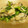 貝家族's cooksnap of when they made 牡蠣とほうれん草のソテー＼(^o^)／.