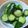 きなコッコ's cooksnap of when they made きゅうりの即席ピリ辛漬物。.