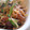 三太's cooksnap of when they made 豚肉と緑野菜のハニーマヨ炒め.