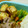 ううちママ's cooksnap of when they made お弁当のおかず☆いんげん炒め.
