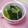 kmukuchap's cooksnap of when they made ちんげん菜とエノキのスープ.