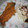 りんごⓒ's cooksnap of when they made いわしのカレー風味揚げ！.