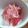 ユーロン's cooksnap of when they made 紫大根の甘酢漬け（紅芯大根もＯＫ）.