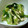 りっこるん's cooksnap of when they made 「ささみとセロリのさっぱり和え♪」.