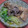Jock's cooksnap of when they made 厚揚げと牛肉のすき焼き風.