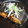 Almondmilk's cooksnap of when they made 我が家の◎カレイの煮付け◎.