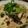 日向葵（Ｃ）'s cooksnap of when they made 大根とツナとわかめのスパゲッティ.