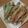 kaorita's cooksnap of when they made おしゃれ☆ししゃも.